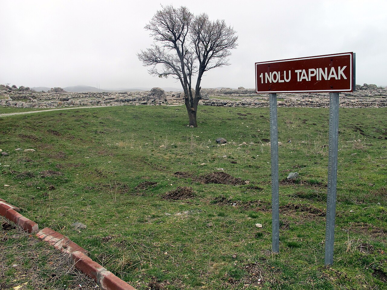 Hattusa