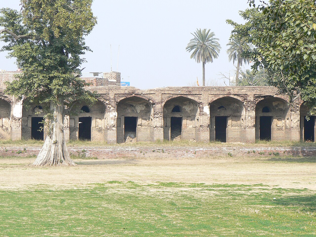 Sarai (city)