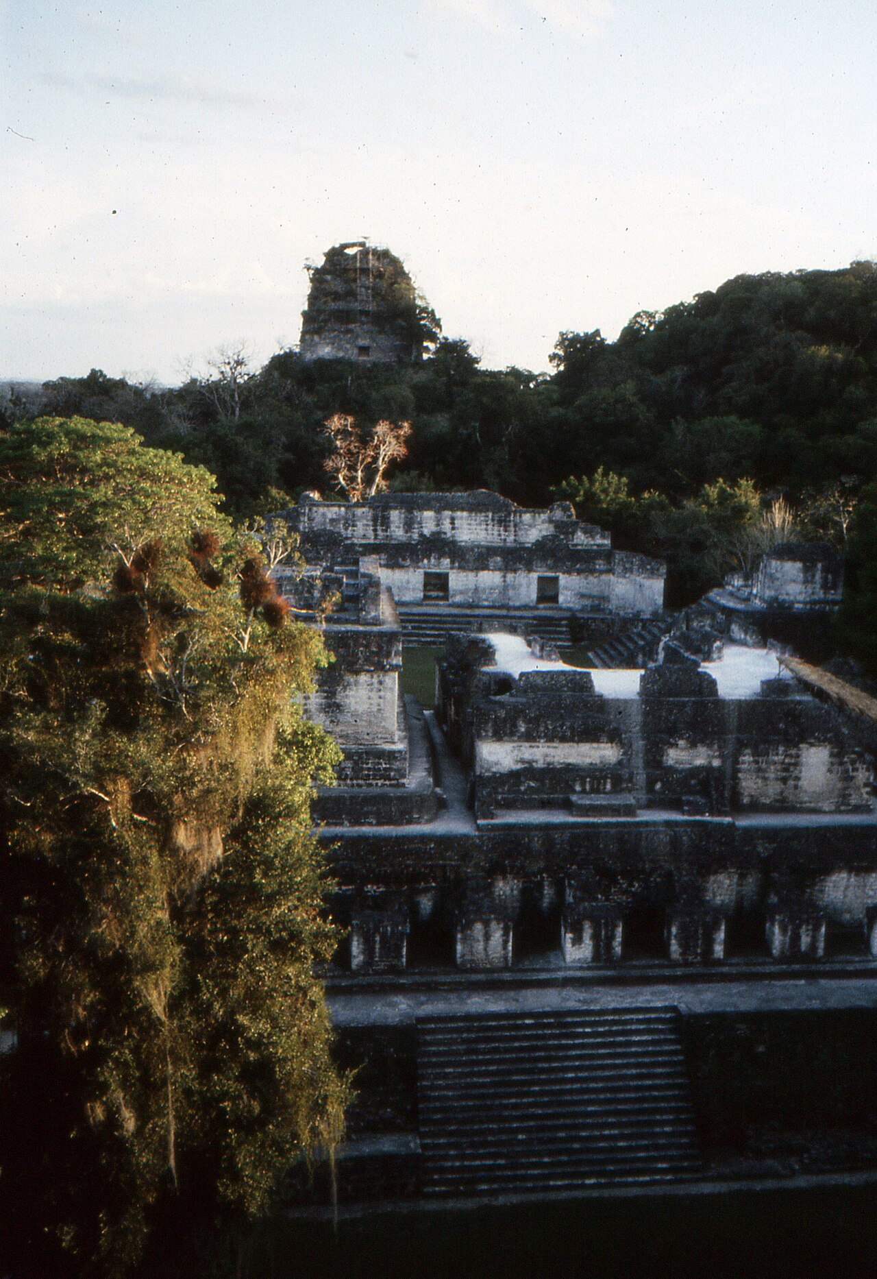 Tikal