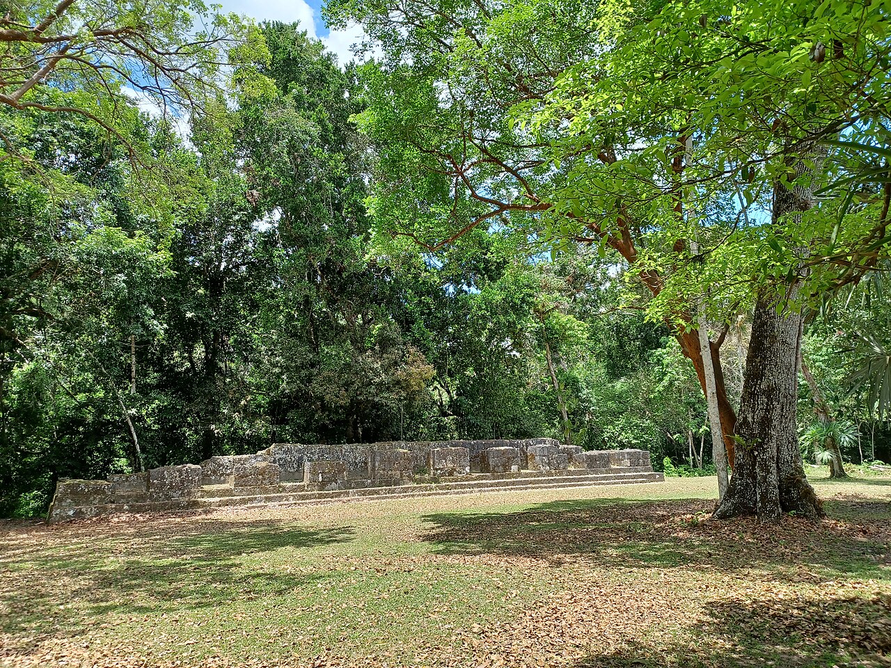 Tikal